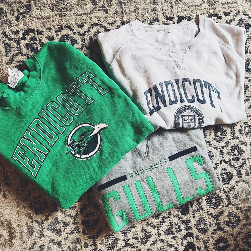 Endicott Gulls College Sweatshirts 3 Pk